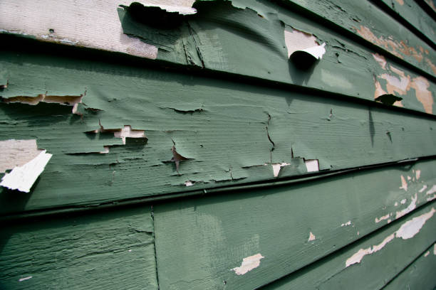 Best Storm Damage Siding Repair  in USA